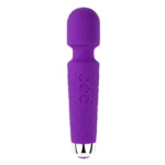 https://usjoytoys.com/wp-content/uploads/2024/08/Female-Vibrator-2-2.webp